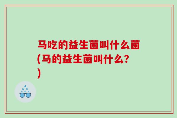 马吃的益生菌叫什么菌(马的益生菌叫什么？)
