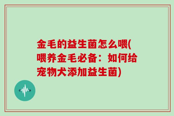 金毛的益生菌怎么喂(喂养金毛必备：如何给宠物犬添加益生菌)
