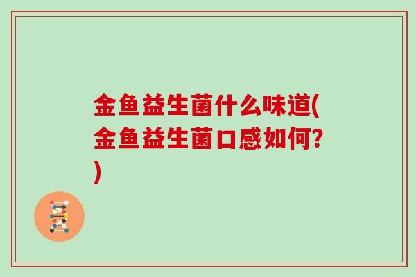金鱼益生菌什么味道(金鱼益生菌口感如何？)
