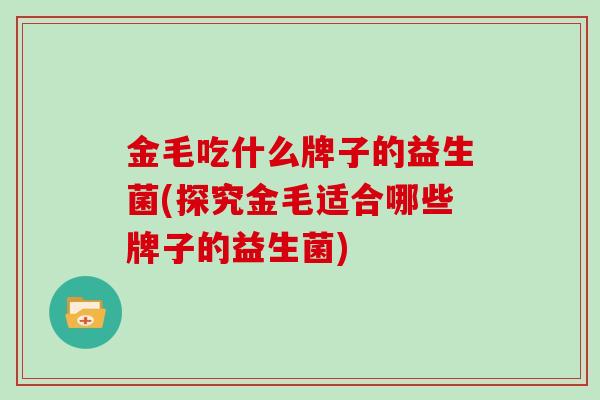 金毛吃什么牌子的益生菌(探究金毛适合哪些牌子的益生菌)