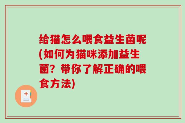 给猫怎么喂食益生菌呢(如何为猫咪添加益生菌？带你了解正确的喂食方法)