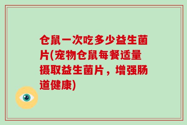 仓鼠一次吃多少益生菌片(宠物仓鼠每餐适量摄取益生菌片，增强肠道健康)