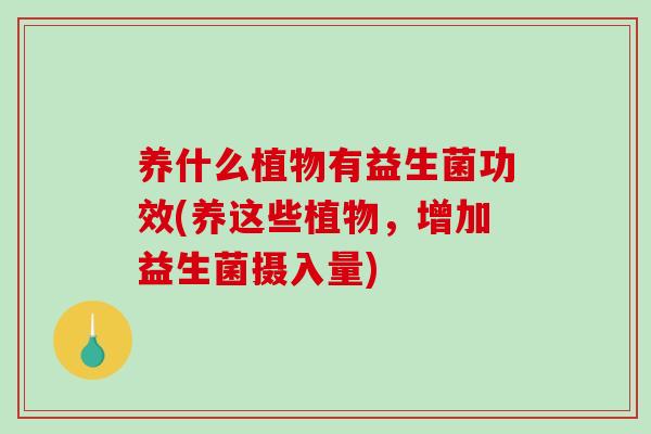 养什么植物有益生菌功效(养这些植物，增加益生菌摄入量)