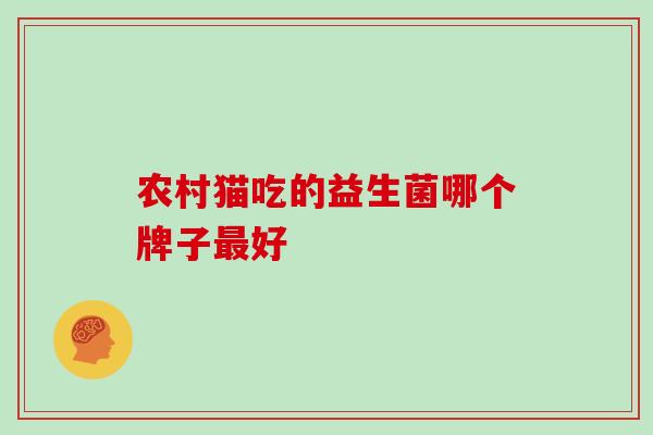 农村猫吃的益生菌哪个牌子好