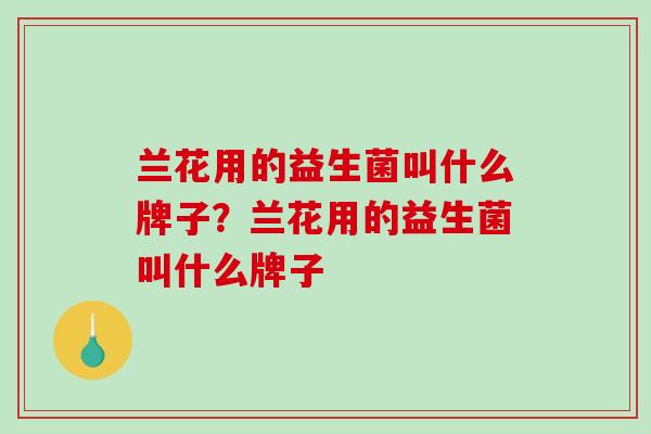 兰花用的益生菌叫什么牌子？兰花用的益生菌叫什么牌子