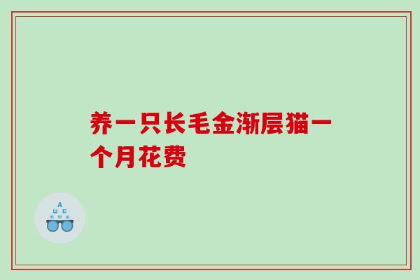 养一只长毛金渐层猫一个月花费