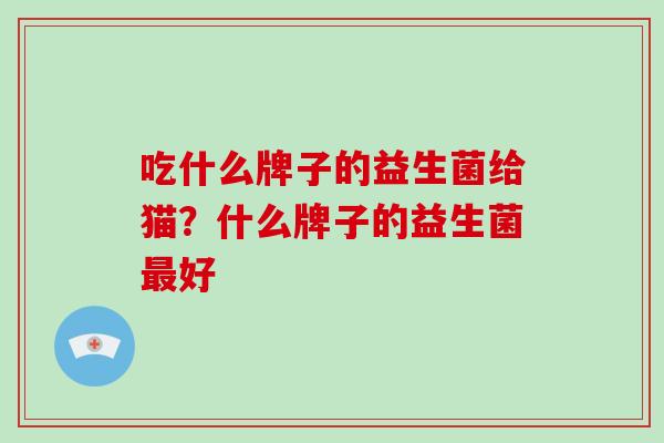 吃什么牌子的益生菌给猫？什么牌子的益生菌好