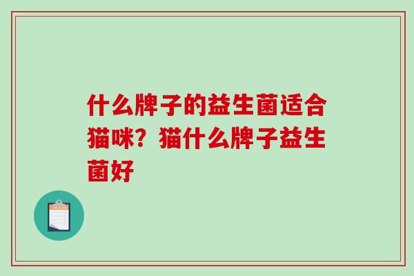什么牌子的益生菌适合猫咪？猫什么牌子益生菌好