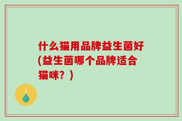 什么猫用品牌益生菌好(益生菌哪个品牌适合猫咪？)