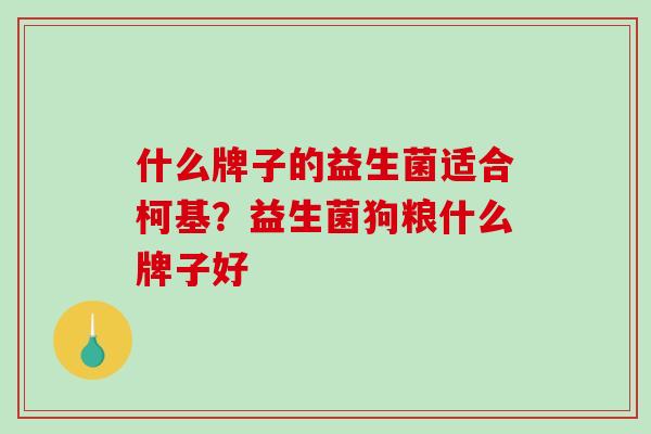 什么牌子的益生菌适合柯基？益生菌狗粮什么牌子好