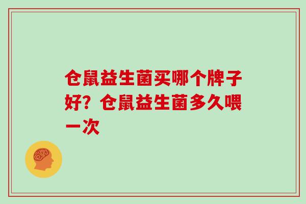 仓鼠益生菌买哪个牌子好？仓鼠益生菌多久喂一次
