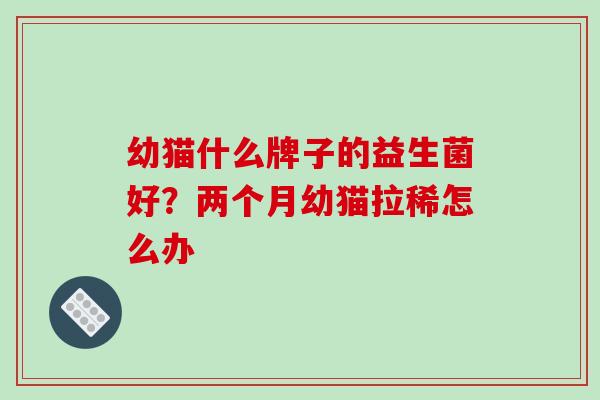幼猫什么牌子的益生菌好？两个月幼猫拉稀怎么办