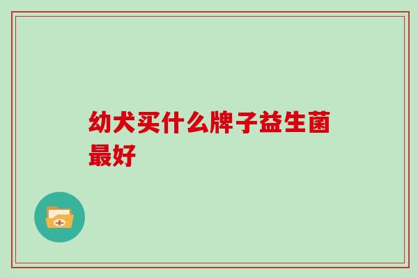 幼犬买什么牌子益生菌好