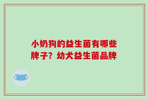 小奶狗的益生菌有哪些牌子？幼犬益生菌品牌