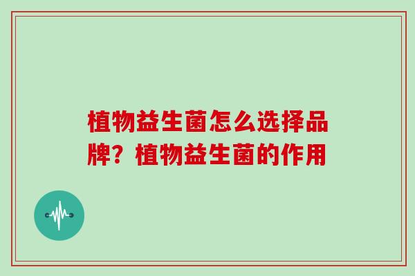 植物益生菌怎么选择品牌？植物益生菌的作用