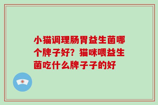 小猫调理肠胃益生菌哪个牌子好？猫咪喂益生菌吃什么牌子子的好