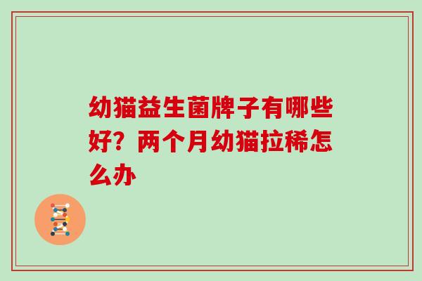幼猫益生菌牌子有哪些好？两个月幼猫拉稀怎么办
