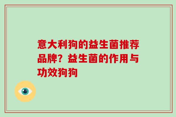 意大利狗的益生菌推荐品牌？益生菌的作用与功效狗狗