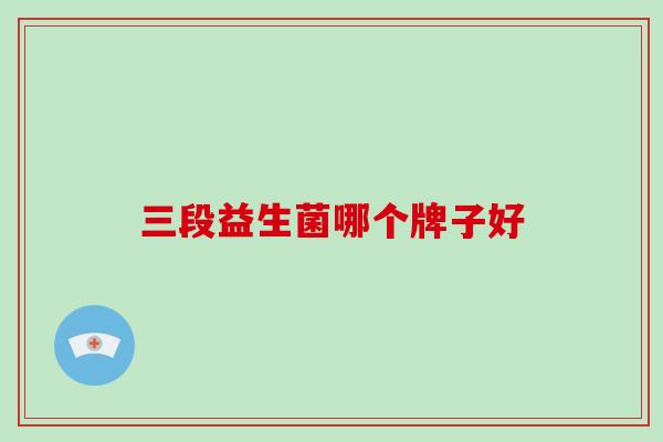 三段益生菌哪个牌子好