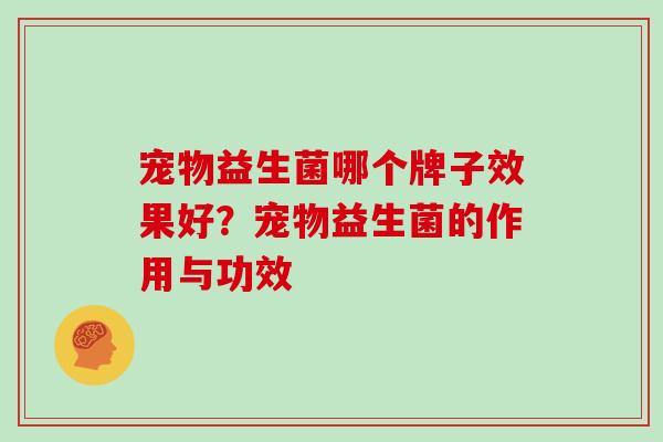 宠物益生菌哪个牌子效果好？宠物益生菌的作用与功效