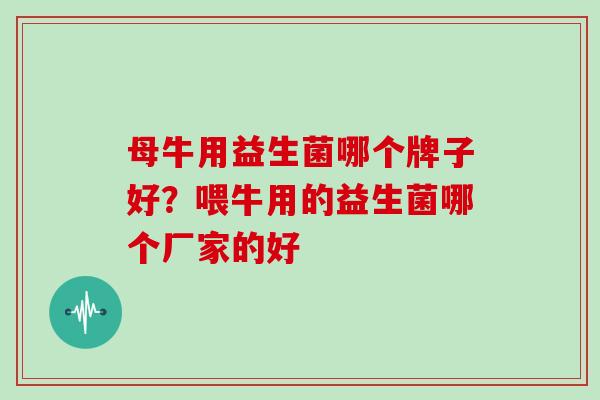 母牛用益生菌哪个牌子好？喂牛用的益生菌哪个厂家的好
