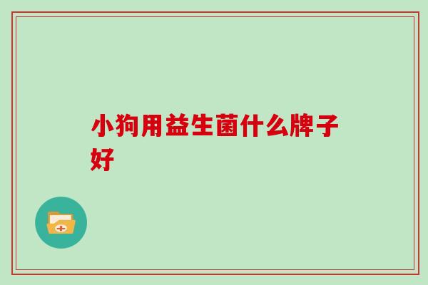小狗用益生菌什么牌子好