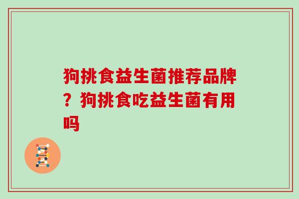 狗挑食益生菌推荐品牌？狗挑食吃益生菌有用吗