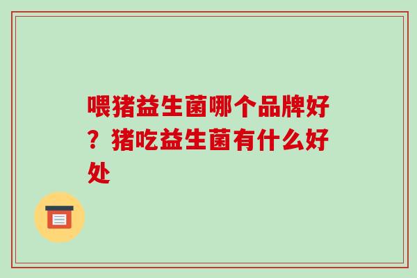 喂猪益生菌哪个品牌好？猪吃益生菌有什么好处