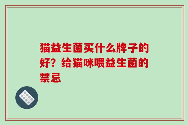 猫益生菌买什么牌子的好？给猫咪喂益生菌的禁忌