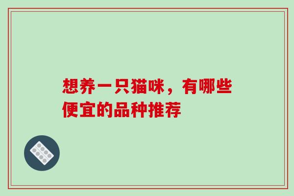想养一只猫咪，有哪些便宜的品种推荐