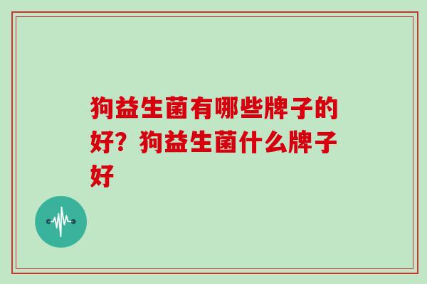 狗益生菌有哪些牌子的好？狗益生菌什么牌子好