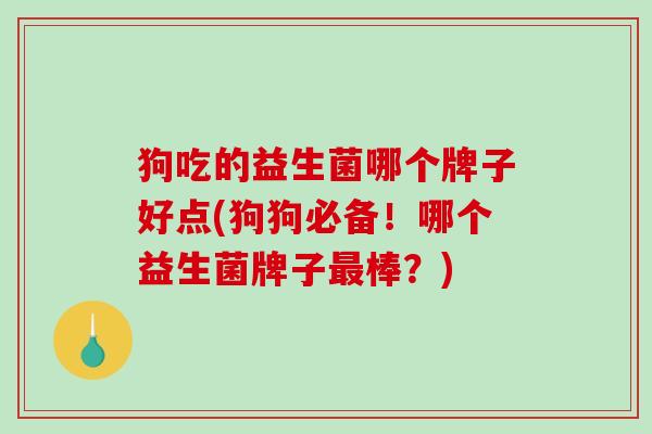 狗吃的益生菌哪个牌子好点(狗狗必备！哪个益生菌牌子最棒？)