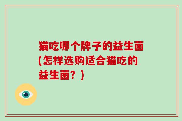 猫吃哪个牌子的益生菌(怎样选购适合猫吃的益生菌？)