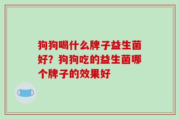 狗狗喝什么牌子益生菌好？狗狗吃的益生菌哪个牌子的效果好