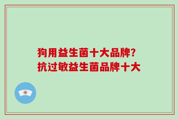 狗用益生菌十大品牌？抗过敏益生菌品牌十大