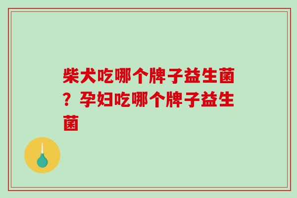 柴犬吃哪个牌子益生菌？孕妇吃哪个牌子益生菌