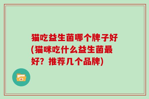 猫吃益生菌哪个牌子好(猫咪吃什么益生菌好？推荐几个品牌)