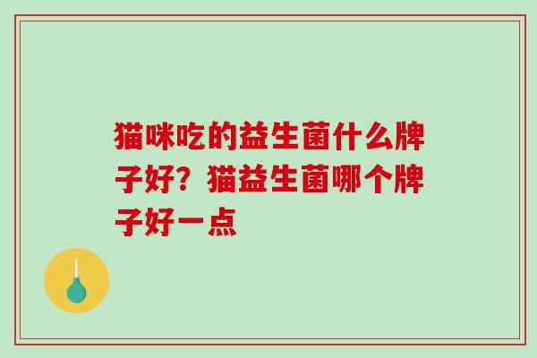 猫咪吃的益生菌什么牌子好？猫益生菌哪个牌子好一点