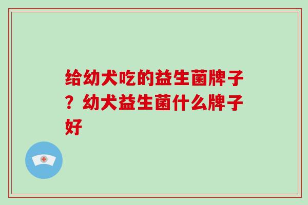 给幼犬吃的益生菌牌子?幼犬益生菌什么牌子好 给幼犬吃的益生菌牌子?幼犬益生菌什么牌子好