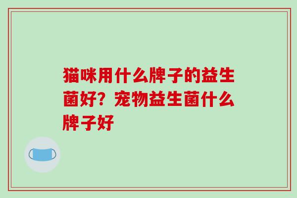 猫咪用什么牌子的益生菌好？宠物益生菌什么牌子好