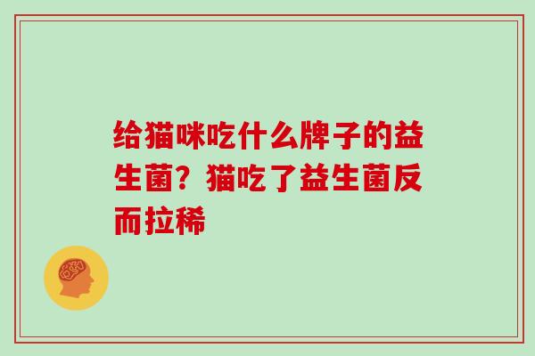 给猫咪吃什么牌子的益生菌？猫吃了益生菌反而拉稀