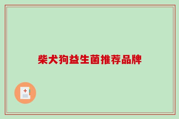 柴犬狗益生菌推荐品牌