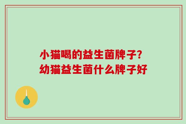 小猫喝的益生菌牌子？幼猫益生菌什么牌子好
