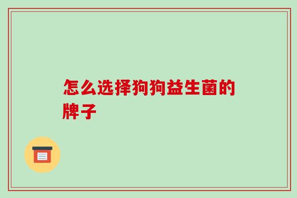 怎么选择狗狗益生菌的牌子 怎么选择狗狗益生菌的牌子