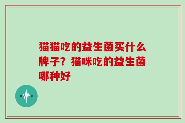 猫猫吃的益生菌买什么牌子？猫咪吃的益生菌哪种好
