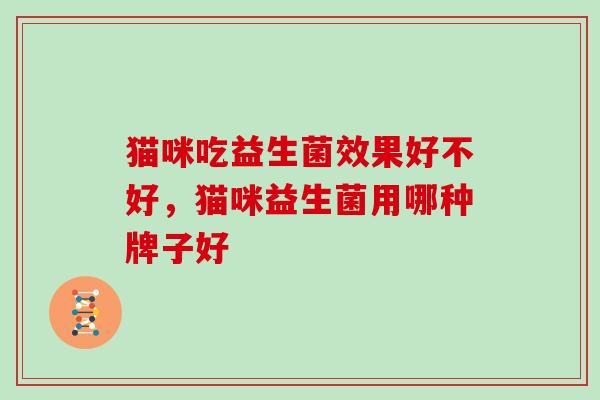 猫咪吃益生菌效果好不好，猫咪益生菌用哪种牌子好