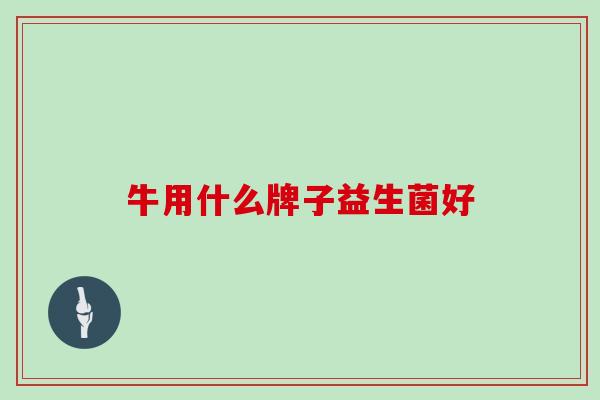 牛用什么牌子益生菌好