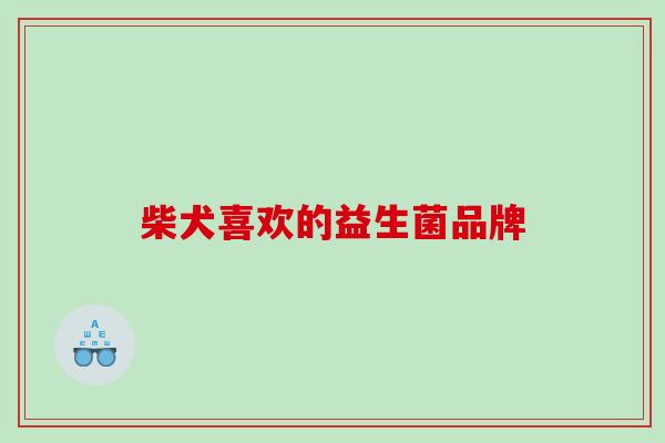 柴犬喜欢的益生菌品牌