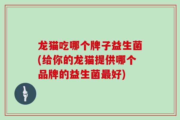 龙猫吃哪个牌子益生菌(给你的龙猫提供哪个品牌的益生菌好)