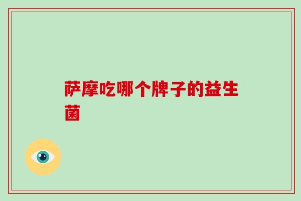 萨摩吃哪个牌子的益生菌